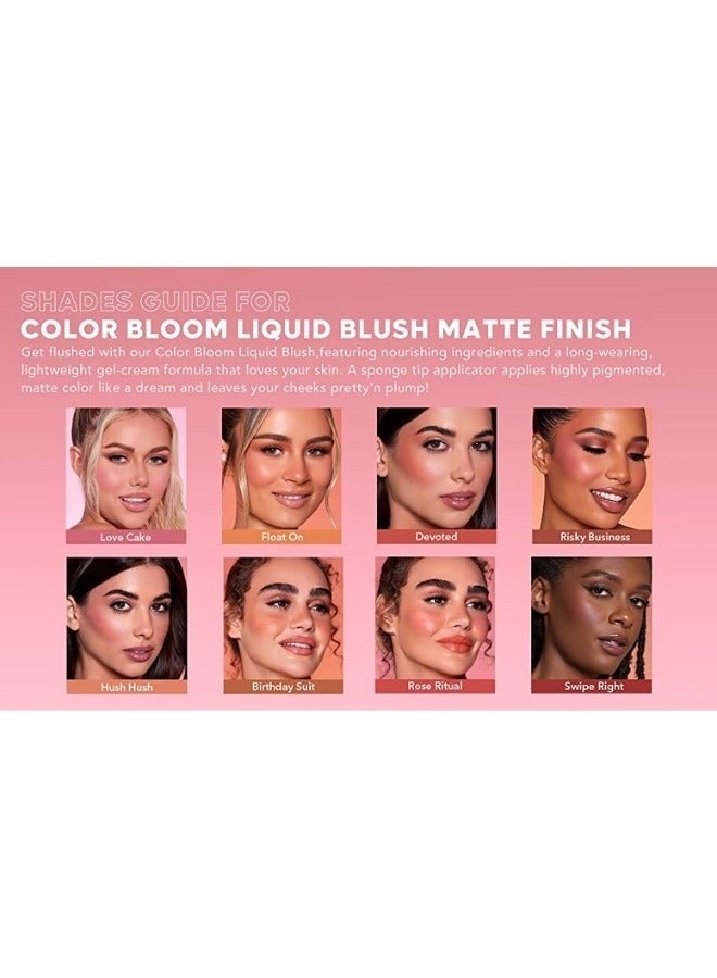 Float On 102 Liquid Blush by Color Bloom – Smooth Blendable Cream Formula with Soft Glow Finish - Image 2